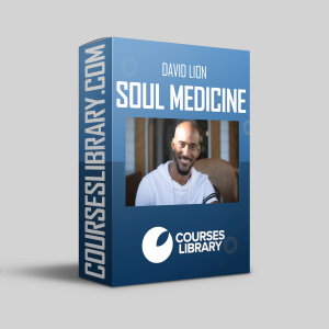 David Lion - Soul Medicine