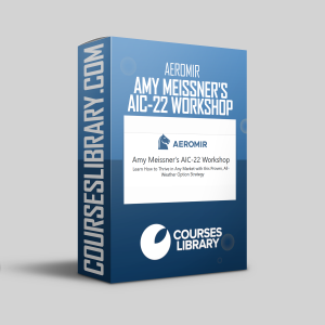 Aeromir - Amy Meissner's AIC-22 Workshop